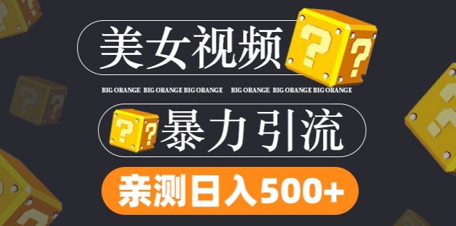搬运tk美女视频全网分发，日引s粉300+，轻松变现，不限流量不封号【揭秘】-梦帆创业网
