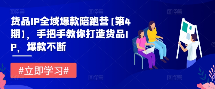 货品IP全域爆款陪跑营【第4期】，手把手教你打造货品IP，爆款不断-梦帆创业网