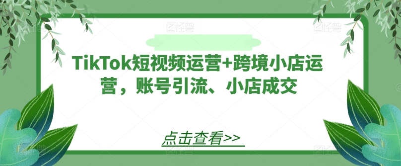 TikTok短视频运营+跨境小店运营，账号引流、小店成交-梦帆创业网