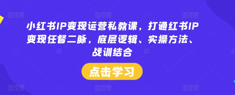 小红书IP变现运营私教课，打通红书IP变现任督二脉，底层逻辑、实操方法、战训结合-梦帆创业网