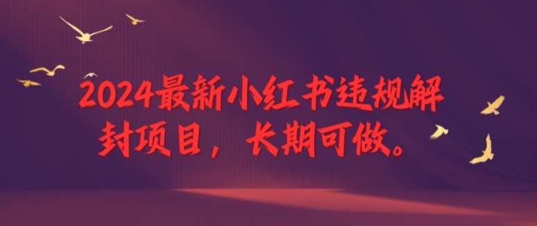 2024最新小红书违规解封项目，长期可做，一个可以做到退休的项目【揭秘】-梦帆创业网