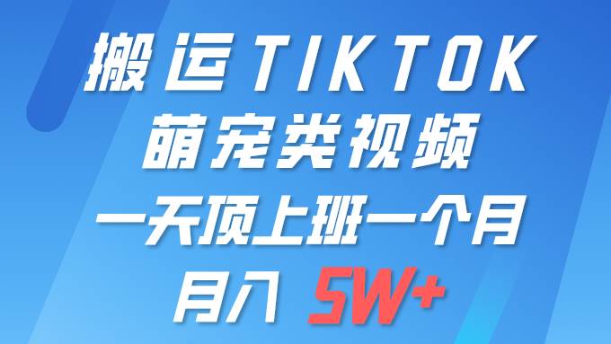 一键搬运TIKTOK萌宠类视频 一部手机即可操作 所有平台均可发布 轻松月入5W+-梦帆创业网