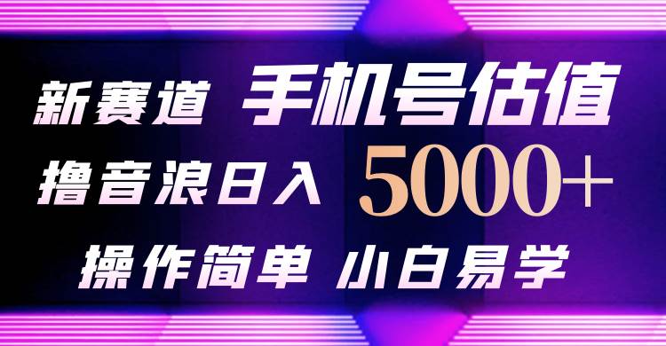 抖音不出境直播【手机号估值】最新撸音浪，日入5000+，简单易学，适合…-梦帆创业网