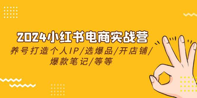 2024小红书电商实战营，养号打造IP/选爆品/开店铺/爆款笔记/等等（24节）-梦帆创业网