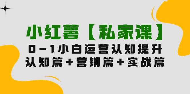 小红薯【私家课】0-1玩赚小红书内容营销，认知篇+营销篇+实战篇（11节课）-梦帆创业网