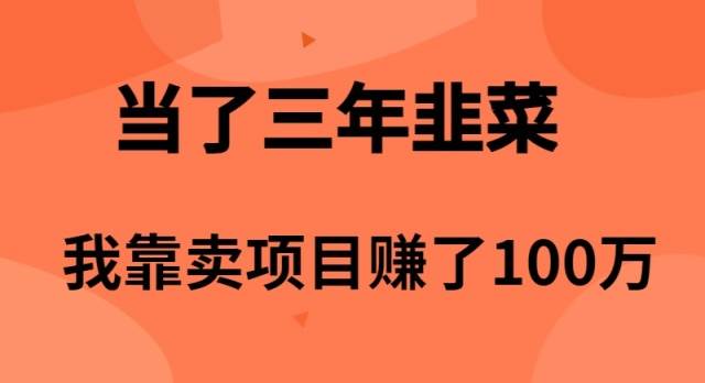 当了3年韭菜，我靠卖项目赚了100万-梦帆创业网