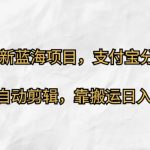 2024最新蓝海项目，支付宝分成计划，无脑自动剪辑，靠搬运日入几张-梦帆创业网