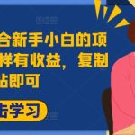 2024年最适合新手小白的项目，0粉丝照样有收益，复制粘贴即可-梦帆创业网