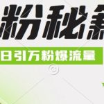 最新小和尚抖音涨粉，日引1万+，流量爆满-梦帆创业网