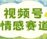 视频号情感赛道新玩法，可同步多平台，妥妥的流量密码，轻轻松松月入过万-梦帆创业网