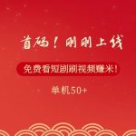 首码，刚刚上线，免费看短剧刷视频赚米，单机50+-梦帆创业网