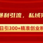 跨平台暴力引流，私域完美闭环，日引100+精准创业粉-梦帆创业网