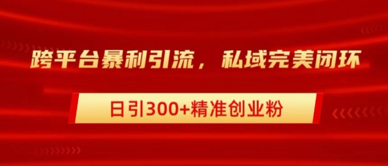 跨平台暴力引流，私域完美闭环，日引100+精准创业粉-梦帆创业网