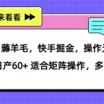 0撸，薅羊毛，快手掘金，操作无难度 单机日产30+ 适合矩阵操作，多劳多得-梦帆创业网