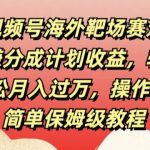 视频号海外靶场赛道赚分成计划收益，轻松月入过万，操作简单保姆级教程-梦帆创业网