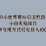 QQ小世界男粉引流野路子，小白无脑操作，多种变现方式-梦帆创业网