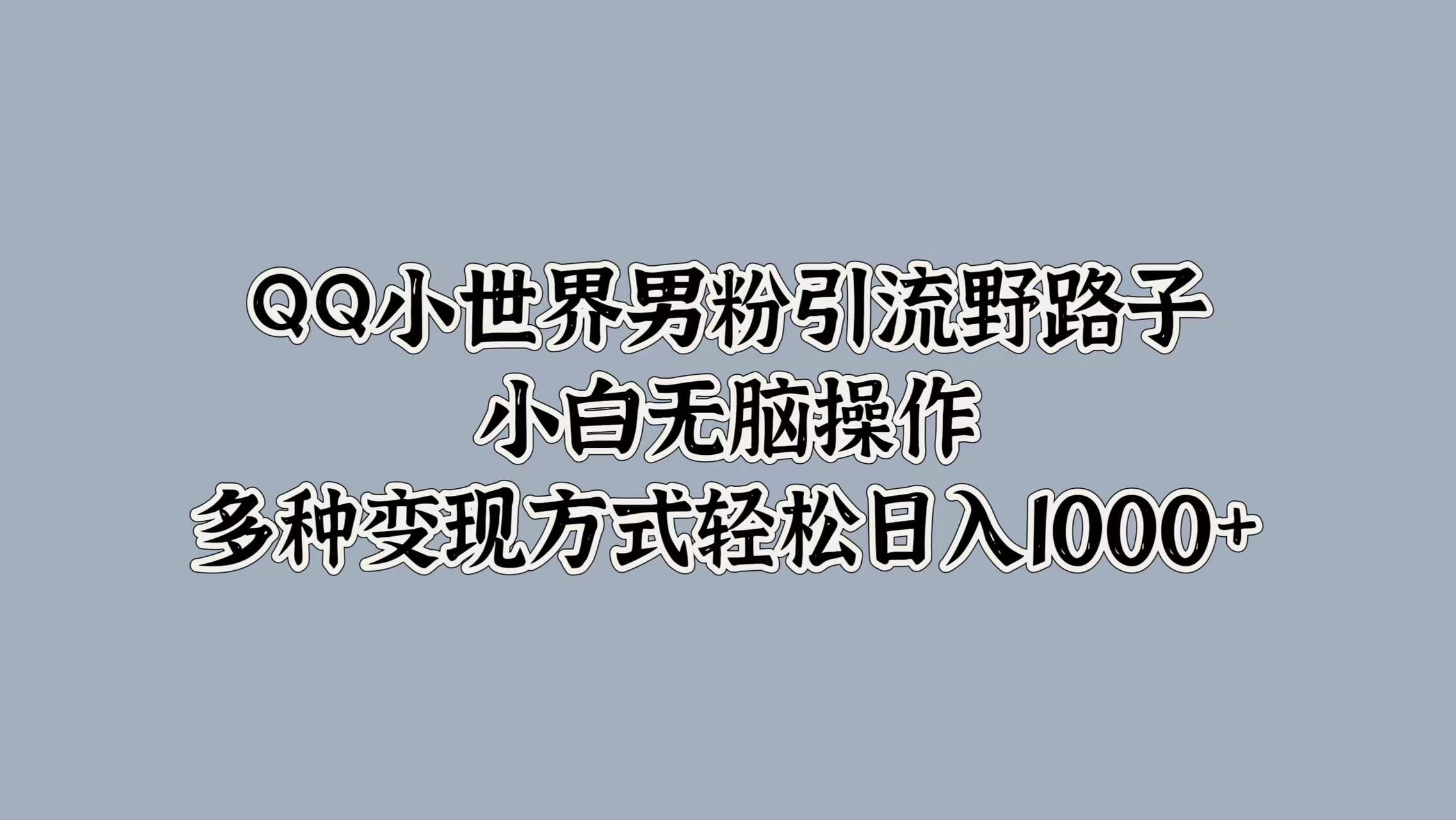 QQ小世界男粉引流野路子，小白无脑操作，多种变现方式-梦帆创业网