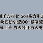 Soul暴力引流术，一天轻松引流100+精准流量，简单易上手 当天操作当天见效果!-梦帆创业网