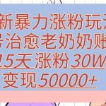 最新暴力涨粉玩法，治愈老奶奶账号，15天涨粉30W，变现至少五位数+-梦帆创业网