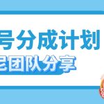 视频号分成计划，每天单日三位数，适合新手小白操作-梦帆创业网