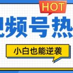 视频号分成计划热门赛道，把握流量，小白也能逆袭-梦帆创业网