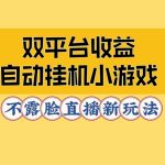 双平台收益自动挂JI小小游戏，不露脸直播新玩法-梦帆创业网