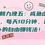 告别朝九晚五：咸鱼虚拟玩法，每天10分钟，月入过W的自由赚钱法!-梦帆创业网
