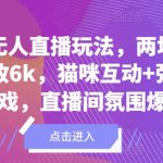爆火无人直播玩法，两场直播轻松收6k，猫咪互动+弹幕小游戏，直播间氛围爆棚!-梦帆创业网