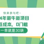 24年最牛新项目，低成本，0门槛 ，一单就是30块，轻松月入1w-梦帆创业网