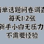 简单选题问卷调查，每天1张，新手小白无压力，不需要经验-梦帆创业网