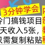 冷门项目，1天收入几张，只需要复制粘贴，3分钟学会，内部教程首次公开-梦帆创业网