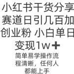 2023小红书虚拟资料玩法，手机中制作3分钟一个笔记不违规-梦帆创业网