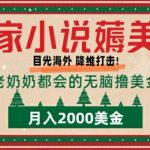 居家小说薅美金，拆解海外撸美金项目月入2000美刀详细指导-梦帆创业网
