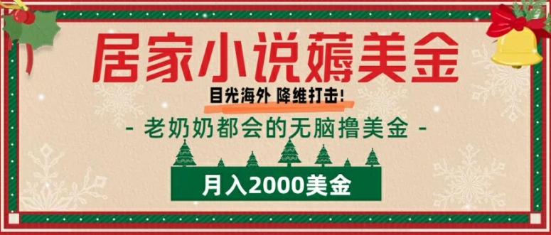 居家小说薅美金，拆解海外撸美金项目月入2000美刀详细指导-梦帆创业网