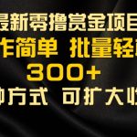 2024最新零撸赏金项目，无需养机，直接上手操作 ，单机收益30+，适合批量放大-梦帆创业网