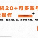 单机看广告三小时25+，可批量操作，附带养鸡教程-梦帆创业网