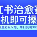 小红书治愈视频赛道，手机即可操作，流量超级火爆，单日变现300+【揭秘】-梦帆创业网