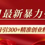 10月最新暴力引流，私域完美闭环，日引300+精准创业粉【揭秘】-梦帆创业网