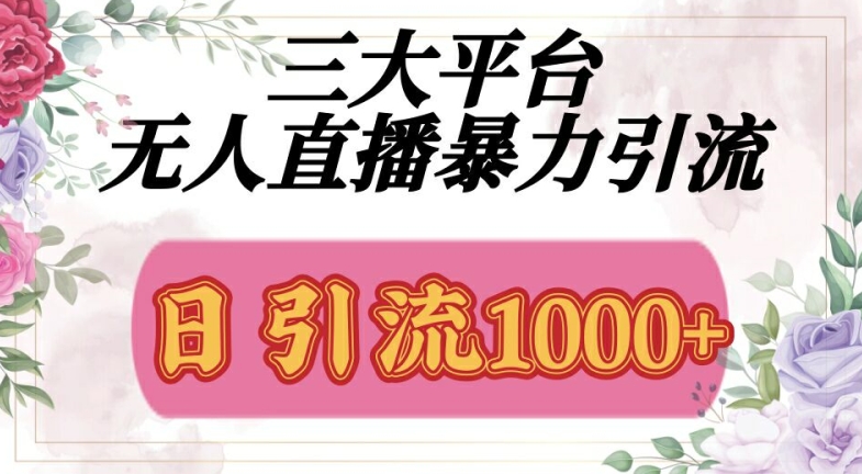 三大平台无人直播引流，吸引精准创业粉-梦帆创业网