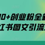 日引200+创业粉全新思路，小红书图文引流玩法【揭秘】-梦帆创业网