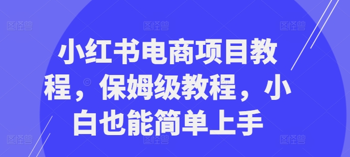 小红书电商项目教程，保姆级教程，小白也能简单上手-梦帆创业网