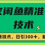 闭鱼精准引流，日引300+创业粉保姆级教程，新手可做-梦帆创业网