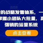 2024靠谱的战略发售体系，一套完整的助IP们，掌握小团队大批量，高效率，0 强销的运营系统-梦帆创业网