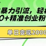 简单暴力引流，轻松达到日引500+精准创业粉，单日变现2k【揭秘】-梦帆创业网
