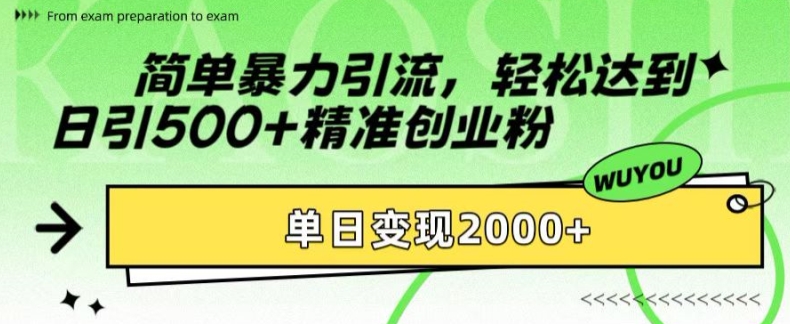 简单暴力引流，轻松达到日引500+精准创业粉，单日变现2k【揭秘】-梦帆创业网