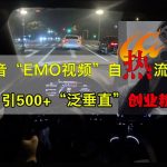 抖音EMO视频自热打法，日引500+“泛垂直”创业粉-梦帆创业网