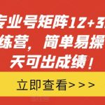 小红书专业号矩阵12+30天引流陪跑训练营，简单易操作，15天可出成绩!-梦帆创业网