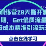 小红书训练营28天撕开流量入口第七期，Get优质流量，解锁低成本精准引流玩法-梦帆创业网