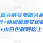 利用AI打造头条号与微头条，精准指令生成10万+阅读量爆文秘籍，日入200+小白也能轻松上手-梦帆创业网