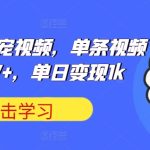 可爱水果萌宠视频，单条视频点赞20W+，单日变现1k【揭秘】-梦帆创业网